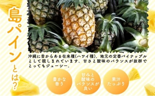 2026年 先行予約 島パイン (ハワイ種) 約2.5kg（2～3玉） パイナップルの王道 西表島産 パイン 果物 フルーツ 約2.5kg（2～3玉）