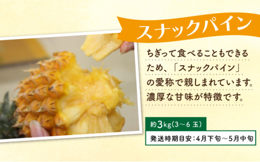 定期便 4回 2026年 先行予約 パイナップル 旬果便 農園ファイミール パイン 4種 果物 フルーツ