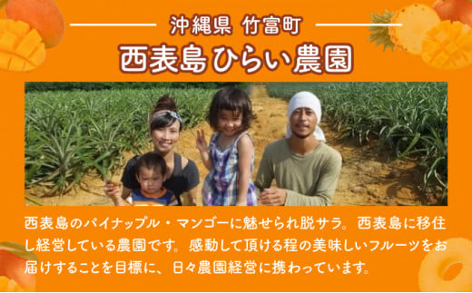 2026年 先行予約 アップルマンゴー 約3.1kg 5～10玉 西表島ひらい農園 マンゴー 果物 フルーツ 約3.1kg（5～10玉）