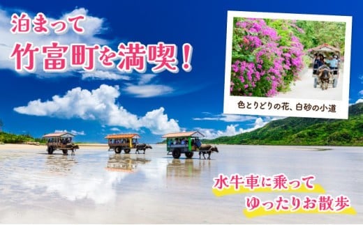 沖縄県竹富町 日本空輸株式会社 旅行クーポン 6,000円分 6,000円分