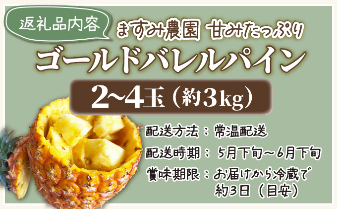 2026年 先行予約 パイン ゴールドバレル 約3kg 2～4玉 ますみ農園 甘み たっぷり パイナップル 果物 フルーツ 005-a001_2026