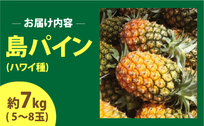 2026年 先行予約 島パイン (ハワイ種) 約7kg (5～8玉) ますみ農園 ”蜜たっぷり” パイン パイナップル 果物 フルーツ  005-a010_2026