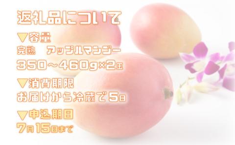 2026年 先行予約 完熟 アップルマンゴー 2L 350g～460g 2玉 マンゴー 果物 デザート 品評会連続入賞2026年 発送 ますみ農園 005-a014_2026