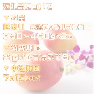 2026年 先行予約 訳あり 完熟 アップルマンゴー 2L 350g～460g 2玉 マンゴー 果物 デザート 品評会連続入賞 2026年 発送 ますみ農園 005-a015_2026