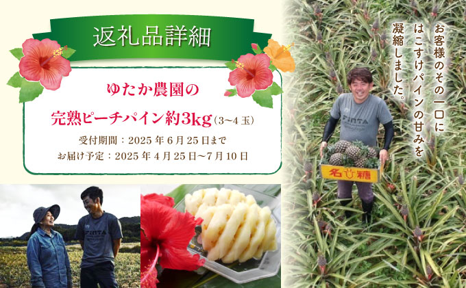 2026年 先行予約 ピーチパイン 約3kg 3玉～5玉 ちゅら西表島産!! ゆたか農園 完熟 パイン 果物 フルーツ パイナップル[010-a001_2026]