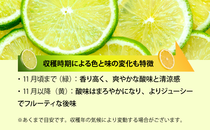 【2025年発送】まろやか多汁マイヤーレモン （島レモン）約2kg 2kg