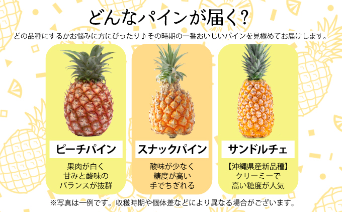 2026年 先行予約 セット 黒糖 完熟 パイン 水鴨農園 西表島産 パイナップル 果物 フルーツ 020-a004_2026
