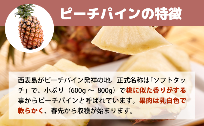 【2026年5月～7月（全3回発送）】南国の美味しさを！パイナップル 定期便 B[022-a004_2026]