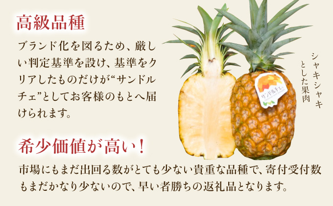 2024年 先行予約 パイナップル ついに実現！ 栽培期間中 完全有機 無農薬 アナナスドルチェ 約2.5kg 2～4玉 果物 フルーツ