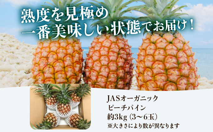 【JASオーガニック】 プレミアムピーチパイン 約3kg 3～6玉　023-a012_2026
