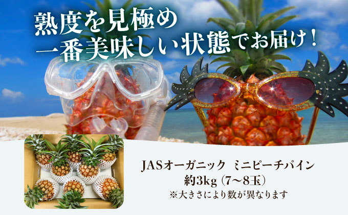 2026年 先行予約 パイナップル ついに実現！転換期間中　JASオーガニック ミニピーチ 3kg (7～8玉) 023-a024_2026