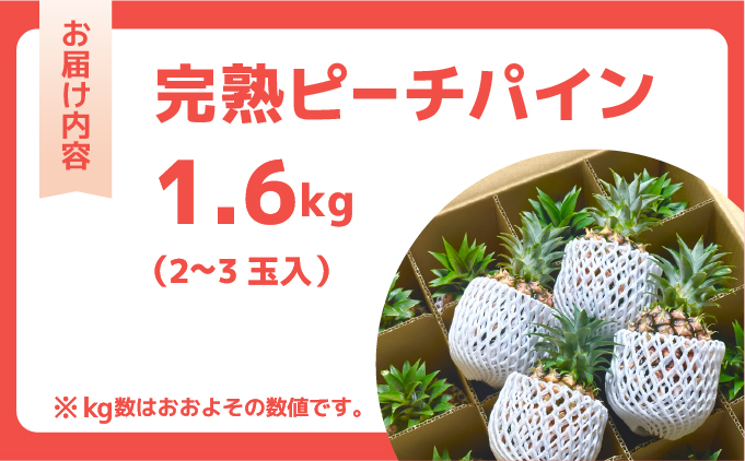 ☆新感覚の味わい☆桃のような芳醇な香りのする　『西表島産完熟ピーチパイン』約1.6kg（2～3個入）[025-a006_2026]