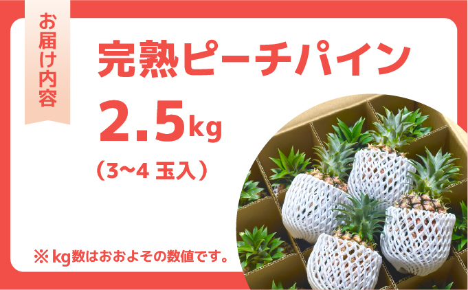 ☆新感覚の味わい☆桃のような芳醇な香りのする　『西表島産完熟ピーチパイン』 約2.5kg（3～4個入）[025-a008_2026]