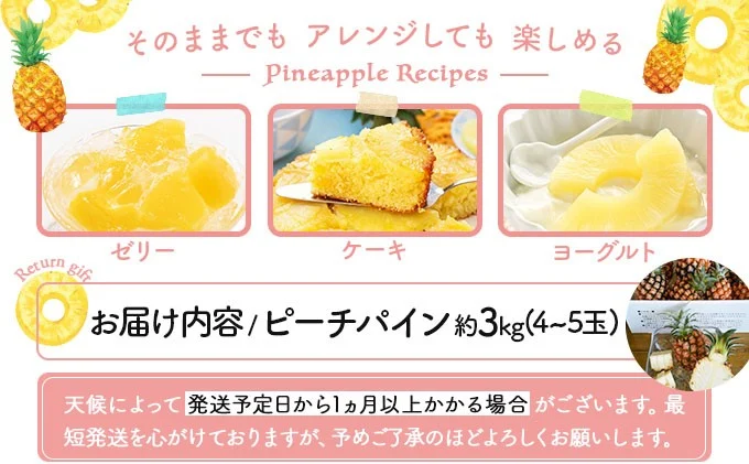 2026年 先行予約 ピーチパイン 約3kg 4～5玉 甘熟 西表島ふる～つらんど 不動の人気No.1 果物 フルーツ パイン 026-a001_2026