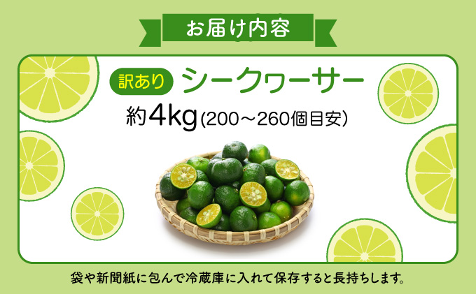 訳あり 2025年 先行予約 青切り シークヮサー 約4kg ☆西表島ふる～つらんど☆ 果物 フルーツ