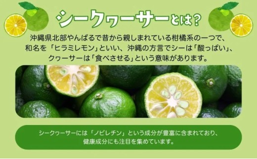 2026年 先行予約 定期便 3ヶ月 南国フルーツ 定期便D ピーチパイン 島パイン  シークヮサー 計3種類 果物 フルーツ 3回 お楽しみ 026-a012_2026