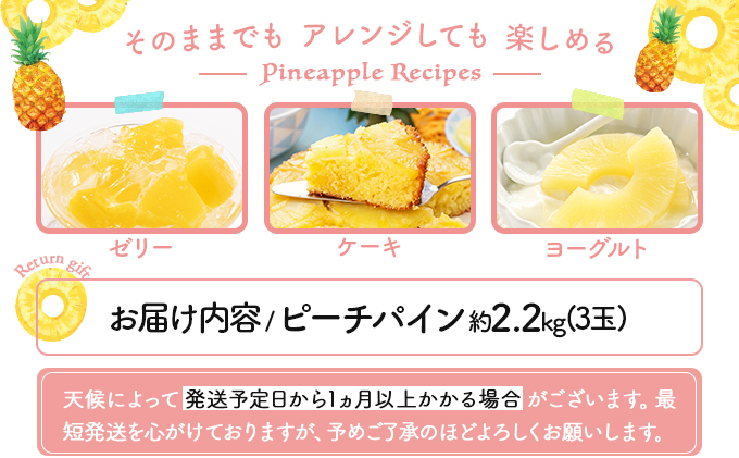 2026年 先行予約 ピーチパイン 約 2.2kg (3玉) ★西表島ふる～つらんど★不動の人気No.1 甘熟 果物 フルーツ パイン