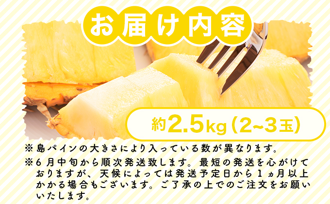 2026年 先行予約 島パイン (ハワイ種) 約2.5kg（2～3玉） パイナップルの王道 西表島産 パイン 果物 フルーツ