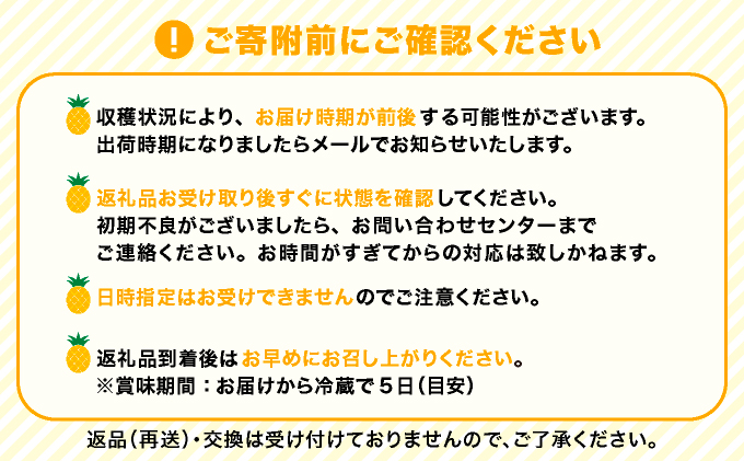 2026年 先行予約 小玉 ピーチパイン 約3kg 5～8玉 ★西表島ふる～つらんど★美味しさギュッと！ 果物 フルーツ パイン