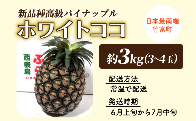 新品種高級パイナップル ホワイトココ 希少品種