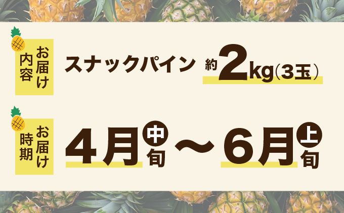 2026年 先行予約 スナックパイン 約2kg 3玉 西表島ひらい農園 パイナップル 果物 フルーツ パイン 027-a009_2026