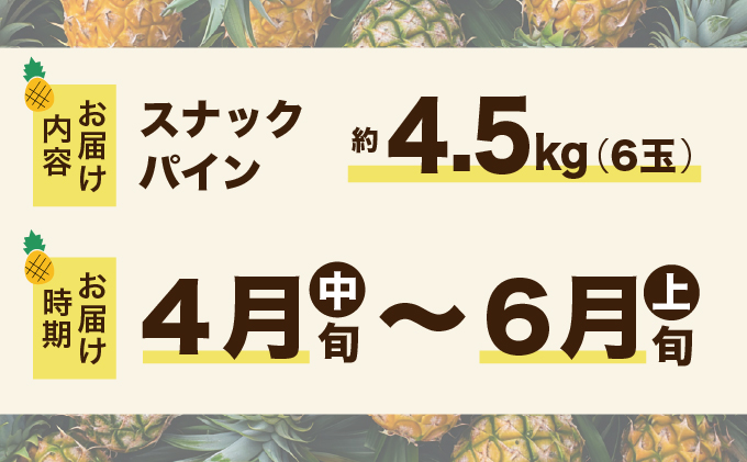 2026年 先行予約 スナックパイン 約4.5kg 6玉 西表島ひらい農園 パイナップル 果物 フルーツ パイン 027-a010_2026