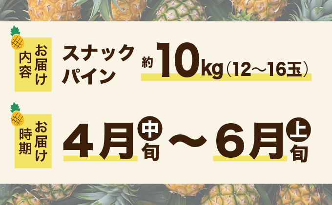 2026年 先行予約 スナックパイン 約10kg 12～16玉 西表島ひらい農園 パイナップル 果物 フルーツ パイン 027-a012_2026
