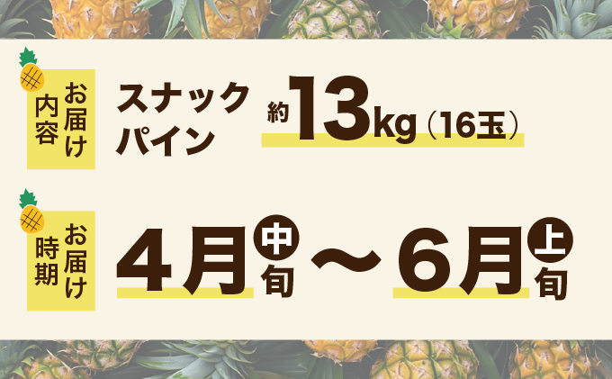 2026年 先行予約 スナックパイン 約13kg 16玉 西表島ひらい農園 パイナップル 果物 フルーツ パイン 027-a013_2026