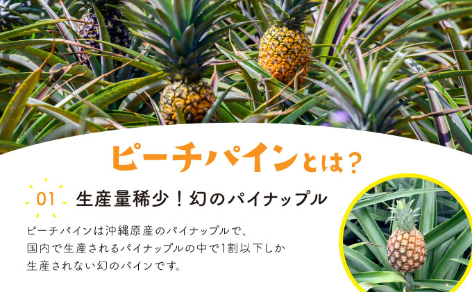 パイン ジュース ITQI2021 三ツ星受賞 24個 24個