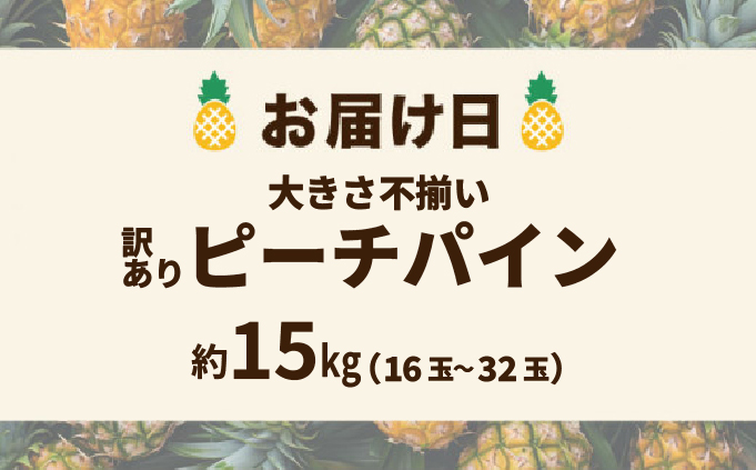 訳あり 不揃い 2026年 先行予約 ピーチパイン 約15kg 16玉～32玉  "いってＱ"でも紹介された 西表島ひらい農園 濃密 パイン 果物 パイナップル フルーツ 027-a026_2026