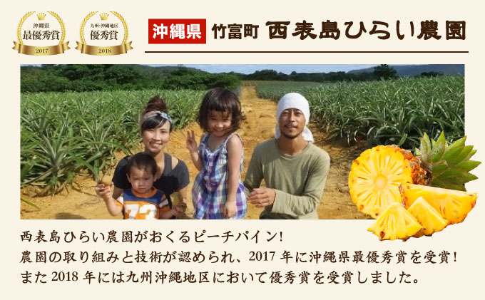 2026年 先行予約 ピーチパイン 約2kg 3～4玉 濃密 "いってＱ"でも紹介された 西表島ひらい農園 パイン パイナップル 果物 フルーツ [027-a028_2026]
