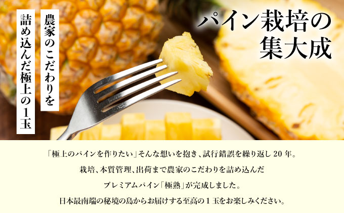 GOKUJUKU -極熟- プレミアム スナックパイン 1.4kg以上 1玉　2026年　先行予約 パイナップル 沖縄 高糖度秀品 贈答用 贈り物 パイン 果物 フルーツ デザート 希少 西表島[029-a002_2026]