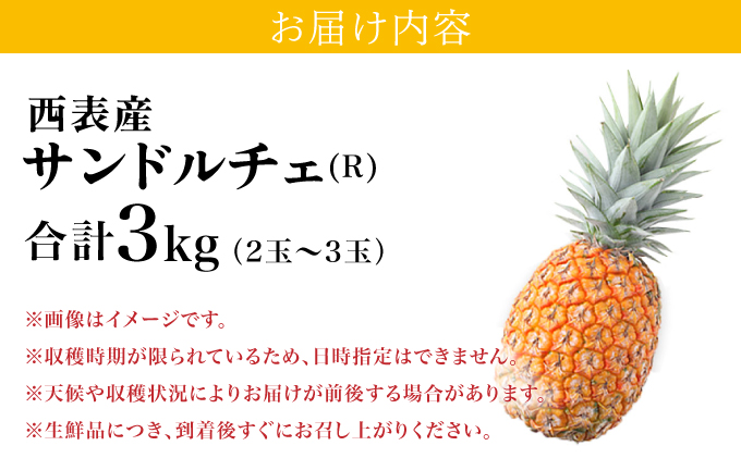 熟鮮サンドルチェ(R) 3kg(2～3玉 )2026年 先行予約 パイン沖縄 西表島産 レア品種 沖縄 西表島産 果物 フルーツ [029-a004_2026]