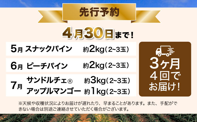 定期便3ヶ月4回 熟鮮スナックパイン 熟鮮ピーチパイン 熟鮮サンドルチェ(R) 3種の旬のパインと アップルマンゴーセット 2026年 先行予約 産地直送 沖縄 西表島[029-a006_2026]