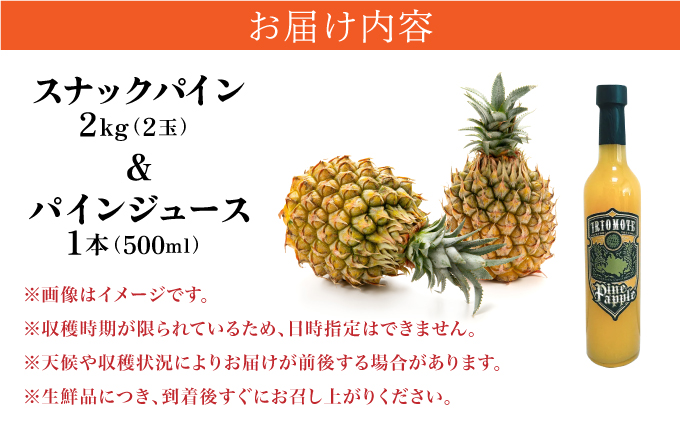 2026年 先行予約 熟鮮スナックパイン2kg （2玉）と甘さをぎゅっと詰め込んだ100％ パイナップルジュース 1本[029-a007_2026]