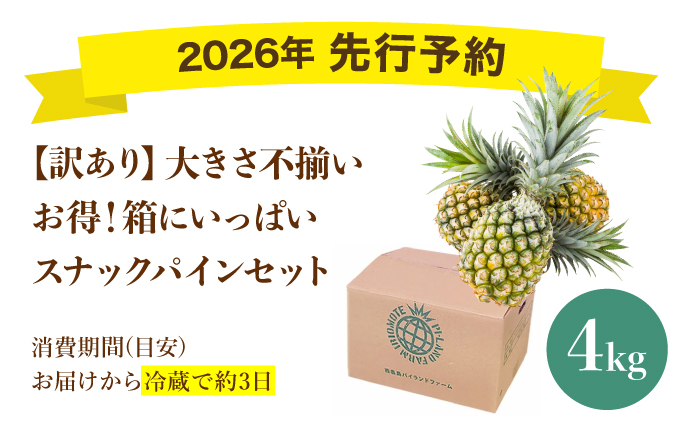 【訳あり】大きさ不揃い　お得！箱にいっぱいスナックパイン4㎏セット[029-a008_2026]