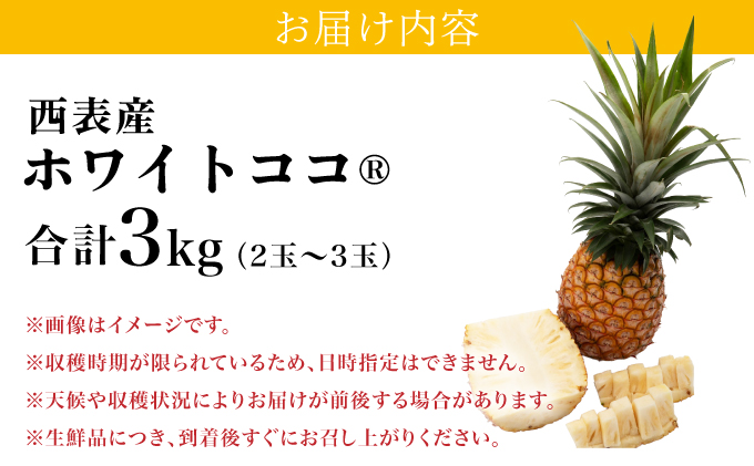 リピーター続出の希少種パイン！　数量限定販売　先行予約　パイナップル　沖縄　西表島　熟鮮ホワイトココⓇ　3㎏　2～3玉　ココナッツに似た香り　果物　フルーツ　デザート[029-a009_2026]