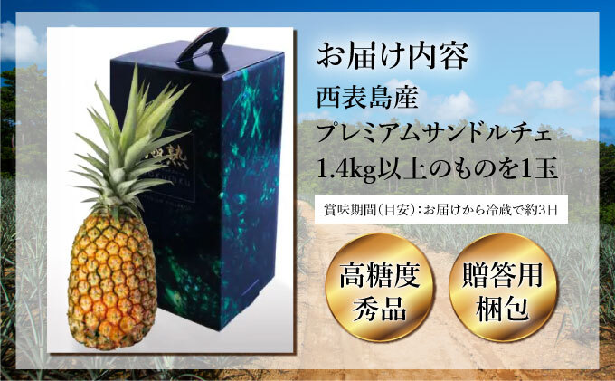 GOKUJUKU-極熟プレミアムサンドルチェ(R) 1.4kg以上 1玉　2026年　先行予約 パイナップル 沖縄 高糖度秀品 贈答用 贈り物 パイン 果物 フルーツ デザート 希少 西表島[029-a010_2026]