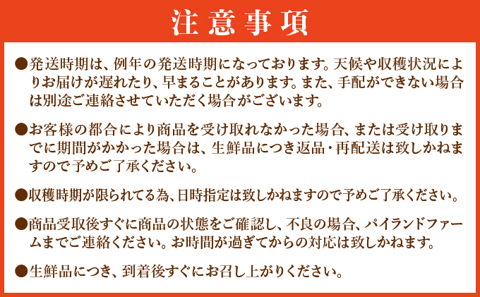 【訳あり】大きさ不揃い　お得！箱にいっぱいピーチパイン4㎏セット