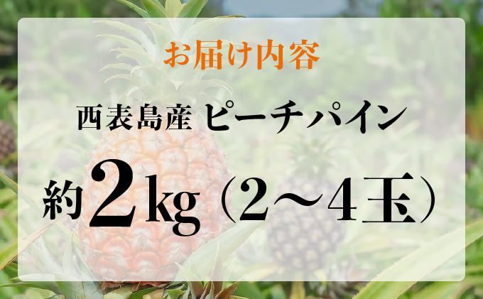 アララガマ農園発祥のピーチパイン。香り高く女性人気NO.1！国内流通量1％未満、幻の完熟ピーチパイン　ピーチパイン2kg（2～4玉） 030-a001_2026