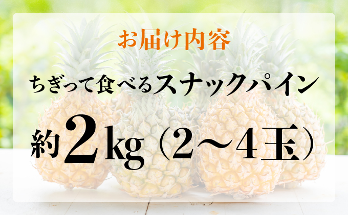 知名度NO.1！糖度が高く真っ黄色な新感覚パイン☆　ちぎって食べるスナックパイン2kg（2～4玉） 030-a003_2026
