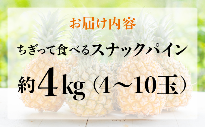 知名度NO.1！糖度が高く真っ黄色な新感覚パイン☆　ちぎって食べるスナックパイン4kg（4～10玉） 030-a004_2026