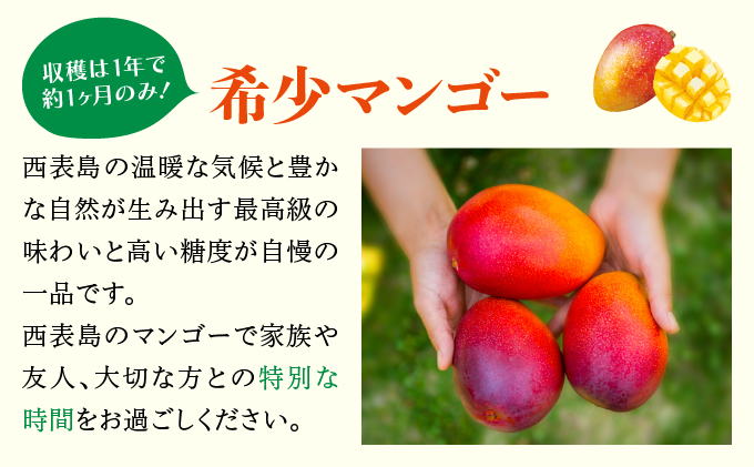 2025年6月中旬発送予定。『箱を開けた瞬間から、至極のひと時を』西表島プレミアムマンゴー1.5kg