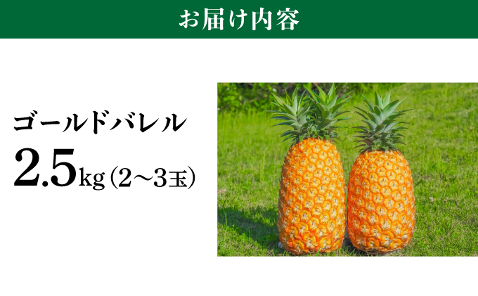 高級感No.1！開発に30年・栽培に3年。パイナップルの最高峰ゴールドバレル2.5kg(2〜3玉)