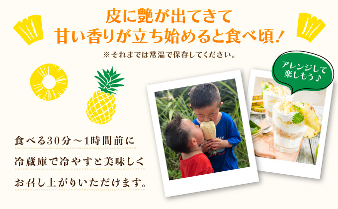 2026年 先行予約 完熟 ゴールドバレル 約3kg 2～4玉入り 最高級 パイン 果物 フルーツ  031-a001_2026