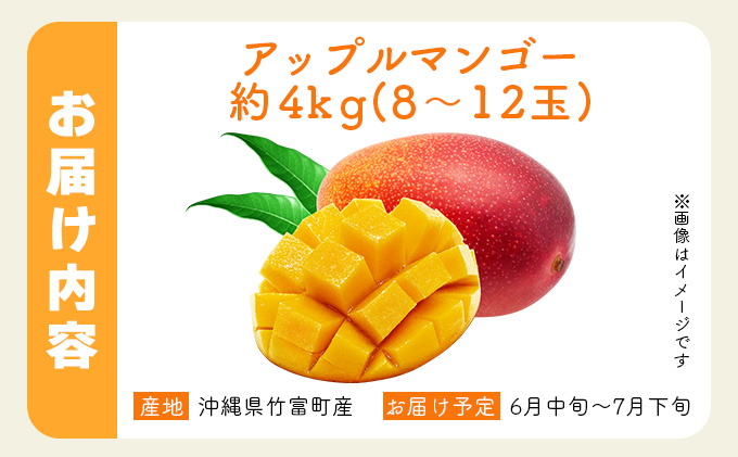 2026年 先行予約 アップルマンゴー 約4kg 8～12玉入り 八重山マンゴー品評会総合1位を計3回獲得！高糖度保証！農園ファイミール 濃厚 果物 フルーツ 031-a008_2026