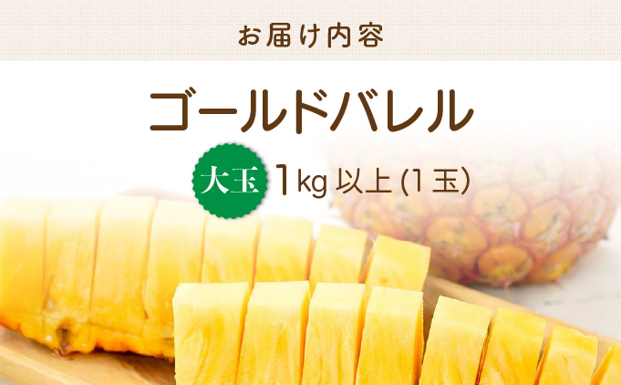 2026年 先行予約 最高級 パイン 完熟 ゴールドバレル 1.0kg以上 大玉1玉 果物 フルーツ パイナップル 031-a009_2026