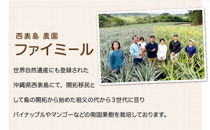 2026年 先行予約 マンゴー 約1.8kg 2～4玉 希少品種濃密 キーツマンゴー 高糖度保証！農園ファイミール 果物 フルーツ  031-a010_2026