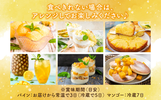 定期便 5回 2026年 先行予約 パイナップル マンゴー 旬果便 農園ファイミール 果物 フルーツ お楽しみ 031-a011_2026