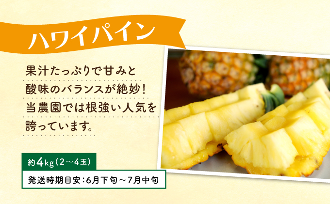 定期便 4回 2026年 先行予約 パイナップル 旬果便 農園ファイミール パイン 4種 果物 フルーツ 031-a012_2026
